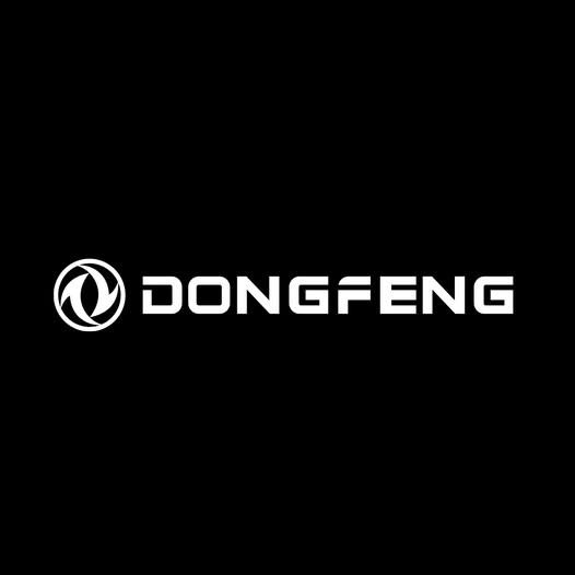 Accesorios Dongfeng